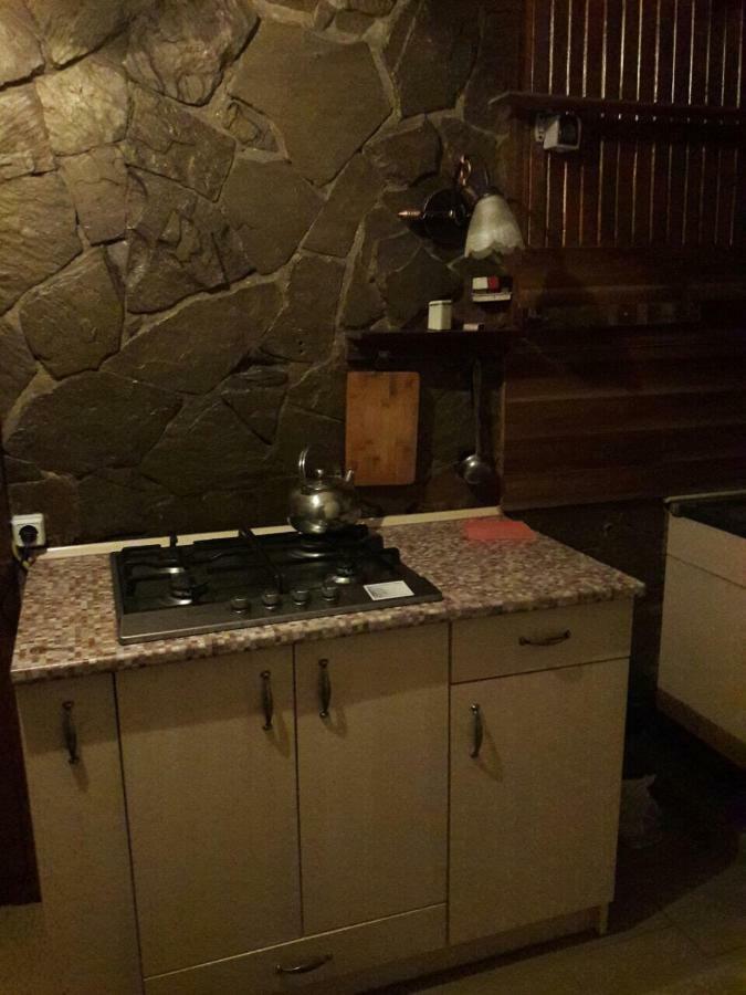 Квартира В Центрі Міста Лвив Екстериор снимка